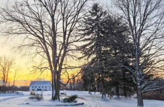 The Little Issues E-newsletter #457 – Life, laughter, and many nice meals!