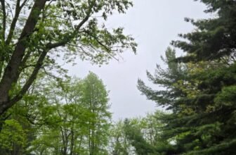 The Little Issues Publication #469 – Life, laughter, and many nice meals!