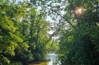 The Little Issues Publication #473 – Life, laughter, and many nice meals!