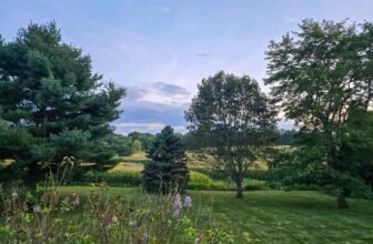 The Little Issues E-newsletter #485 – Life, laughter, and plenty of nice meals!