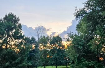 The Little Issues E-newsletter #488 – Life, laughter, and many nice meals!