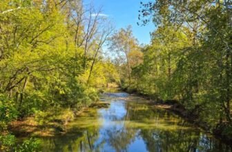 The Little Issues E-newsletter #490 – Life, laughter, and plenty of nice meals!