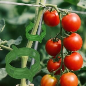 100pcs Secured Plant Clips,Plastic Trellis Backyard Assist Clips for Climbing, Outside Clips for Assist Grape Tomato Vine Greens Vegetation,Reusable Clips to Develop Upright Makes Vegetation More healthy
