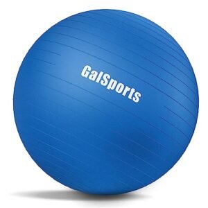GalSports Anti-Burst Slip Resistant Stability Ball – Swiss Ball for House Health club & Bodily Remedy