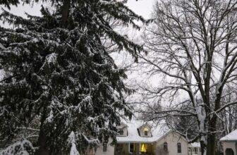 The Little Issues E-newsletter #498 – Life, laughter, and plenty of nice meals!